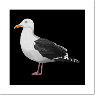 Seagull Bird Watching Birding Ornithologist Gift Posters and Art